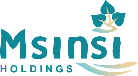 Msinsi